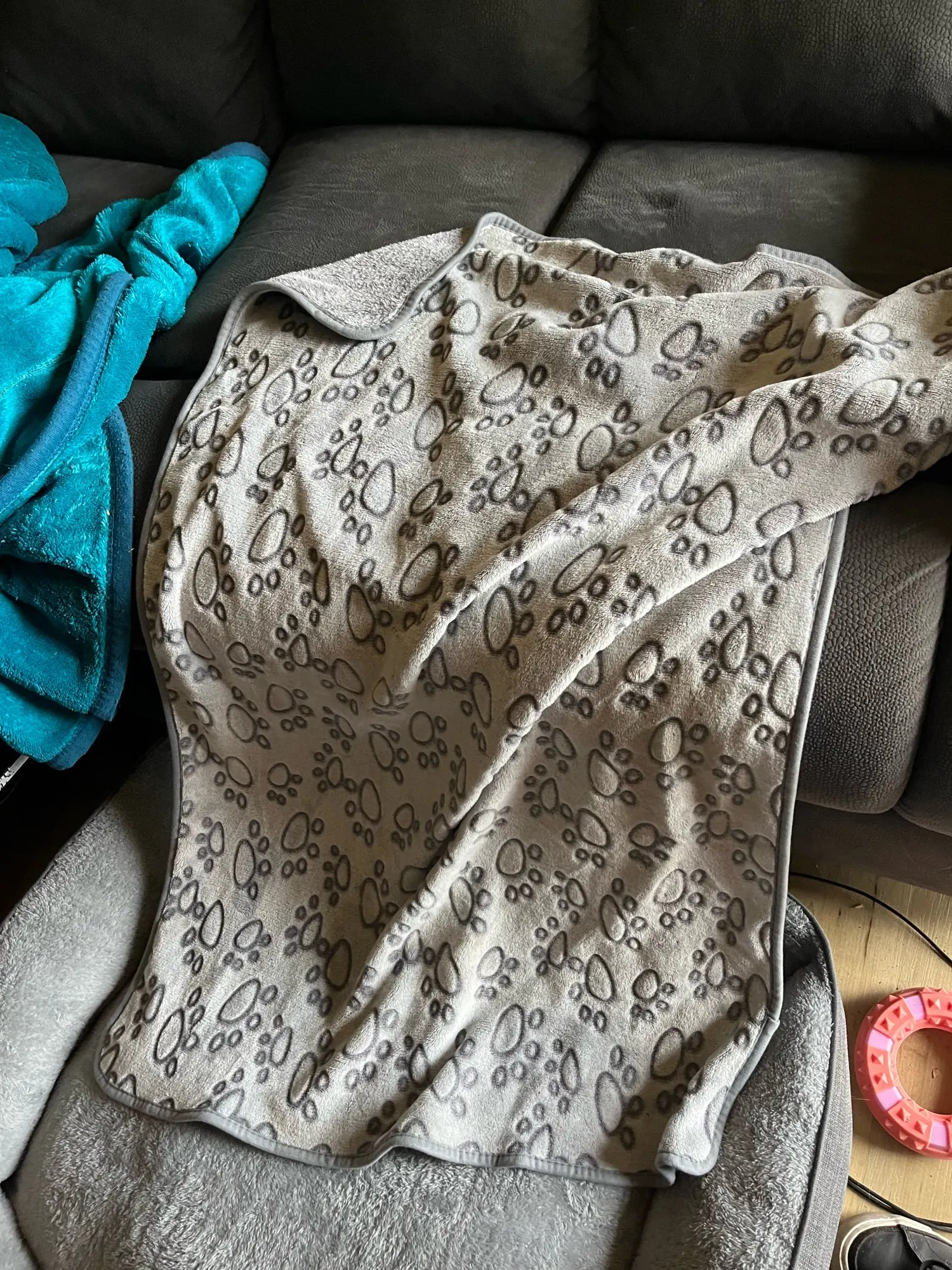 Soft Fluffy High Quality Pet Blanket photo review