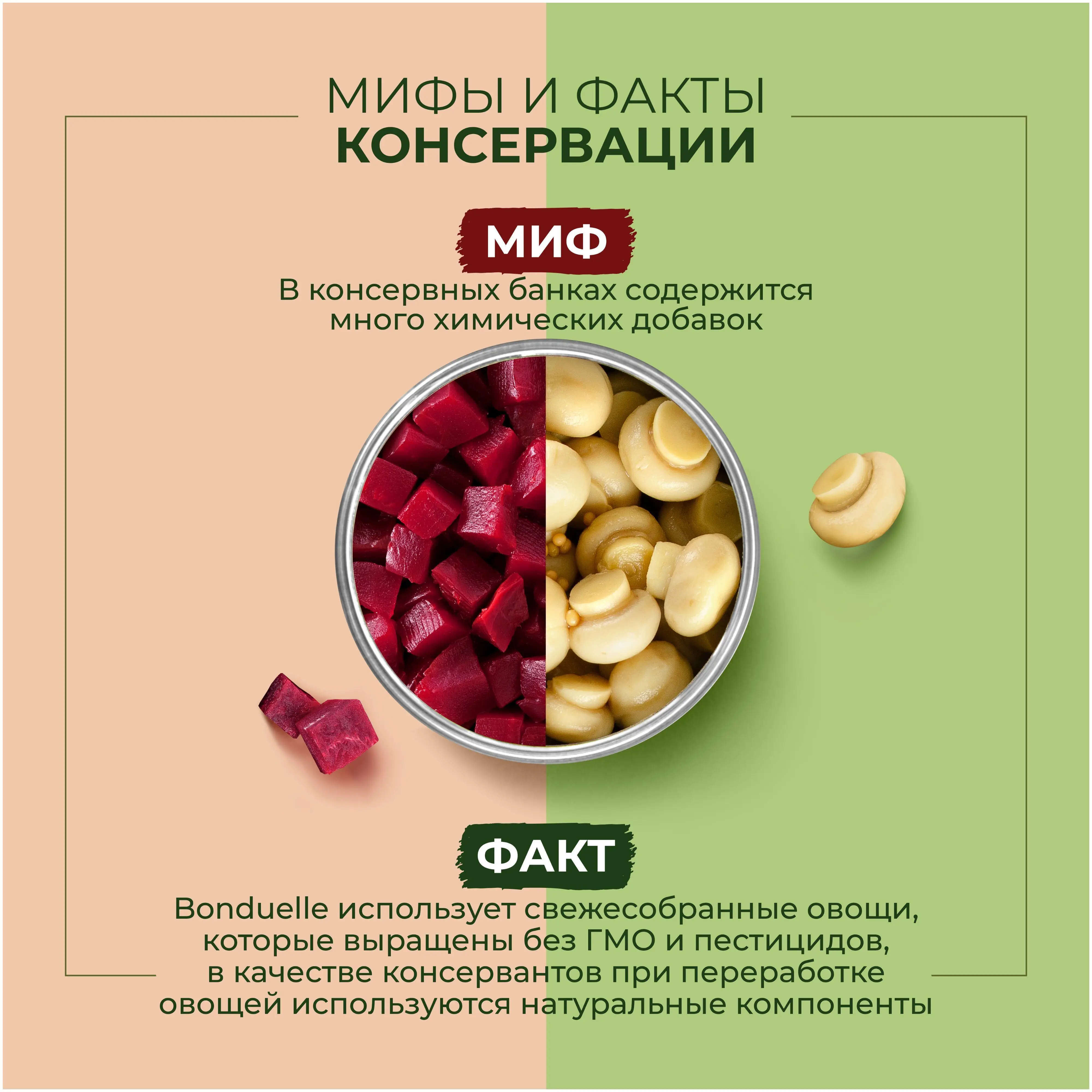 Рисунок 6 - Упаковка 12 банок Шампиньоны Бондюэль