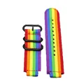 Rainbow B