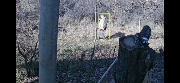 12MP Outdoors Wifi Camera 6K HD Three Lens Security PTZ IP Surveillanc Camera Human Auto Detect Tracking CCTV Camera ICESS APP photo review