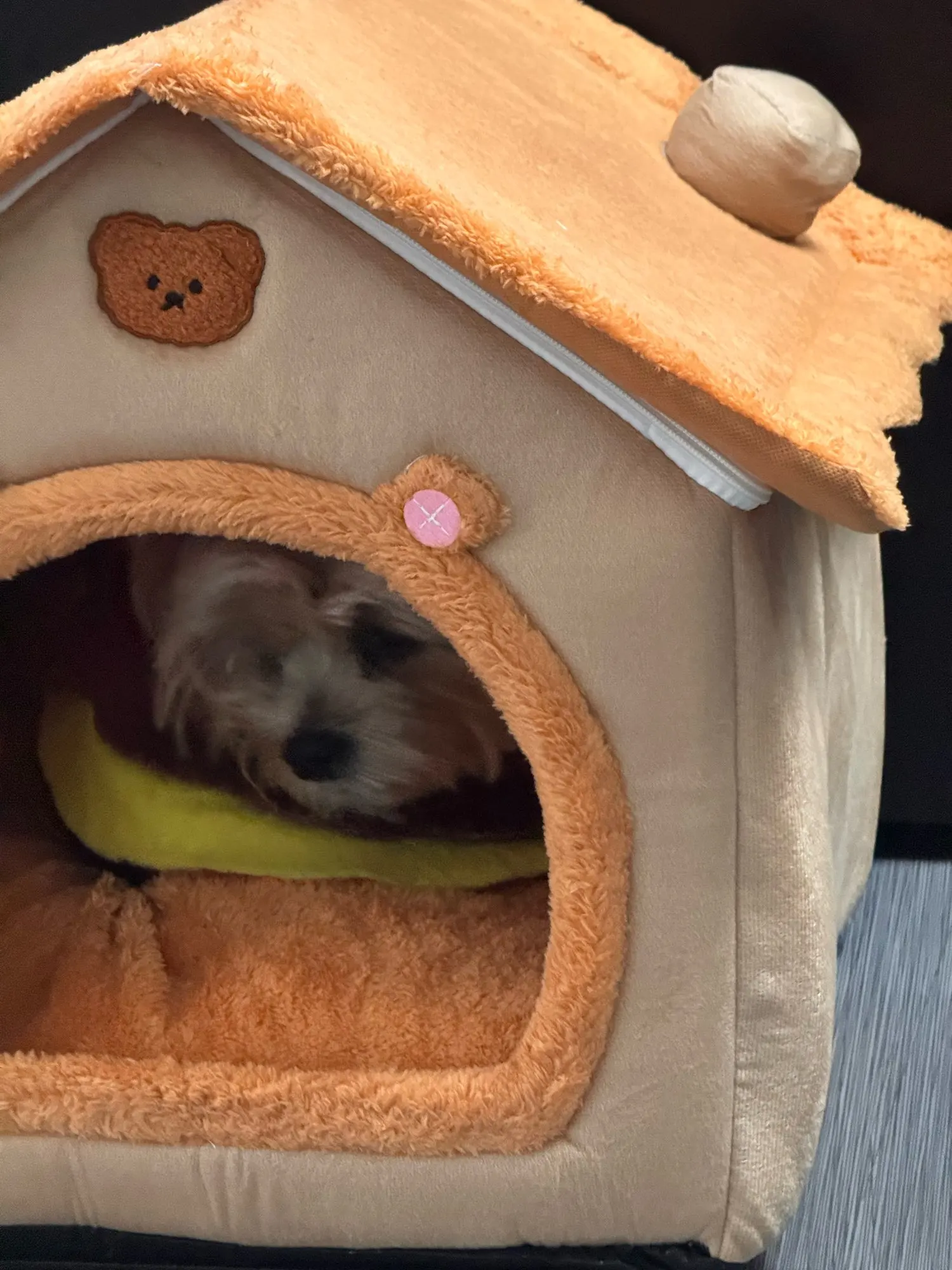 Maison chaude pour chien et chat – Lavable, coussin amovible, toutes saisons – Chenil intérieur pour animaux de petite et moyenne taille photo review