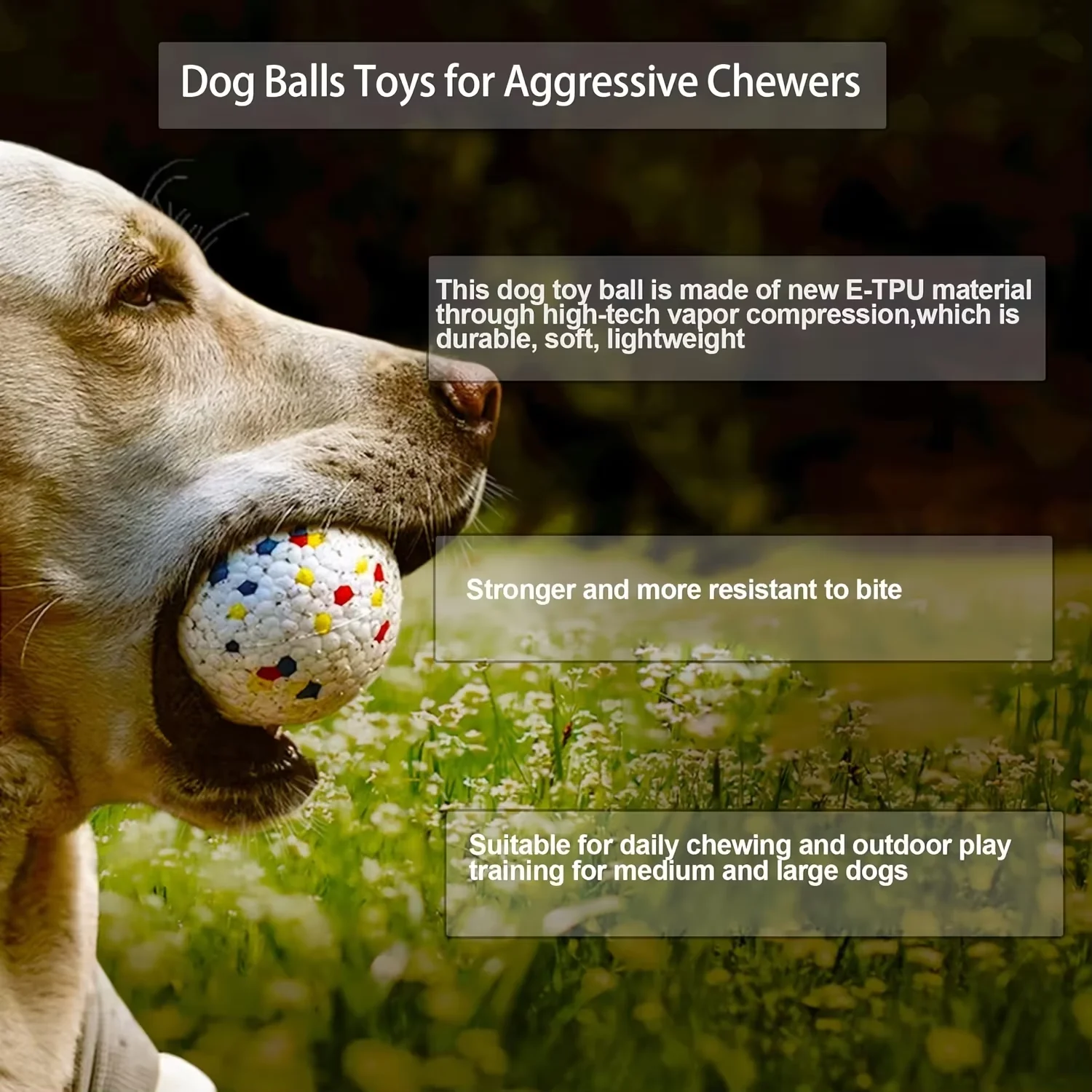 Bite-Resistant Dog Ball – High-Elasticity Chew Toy for Small & Large Dogs 6
