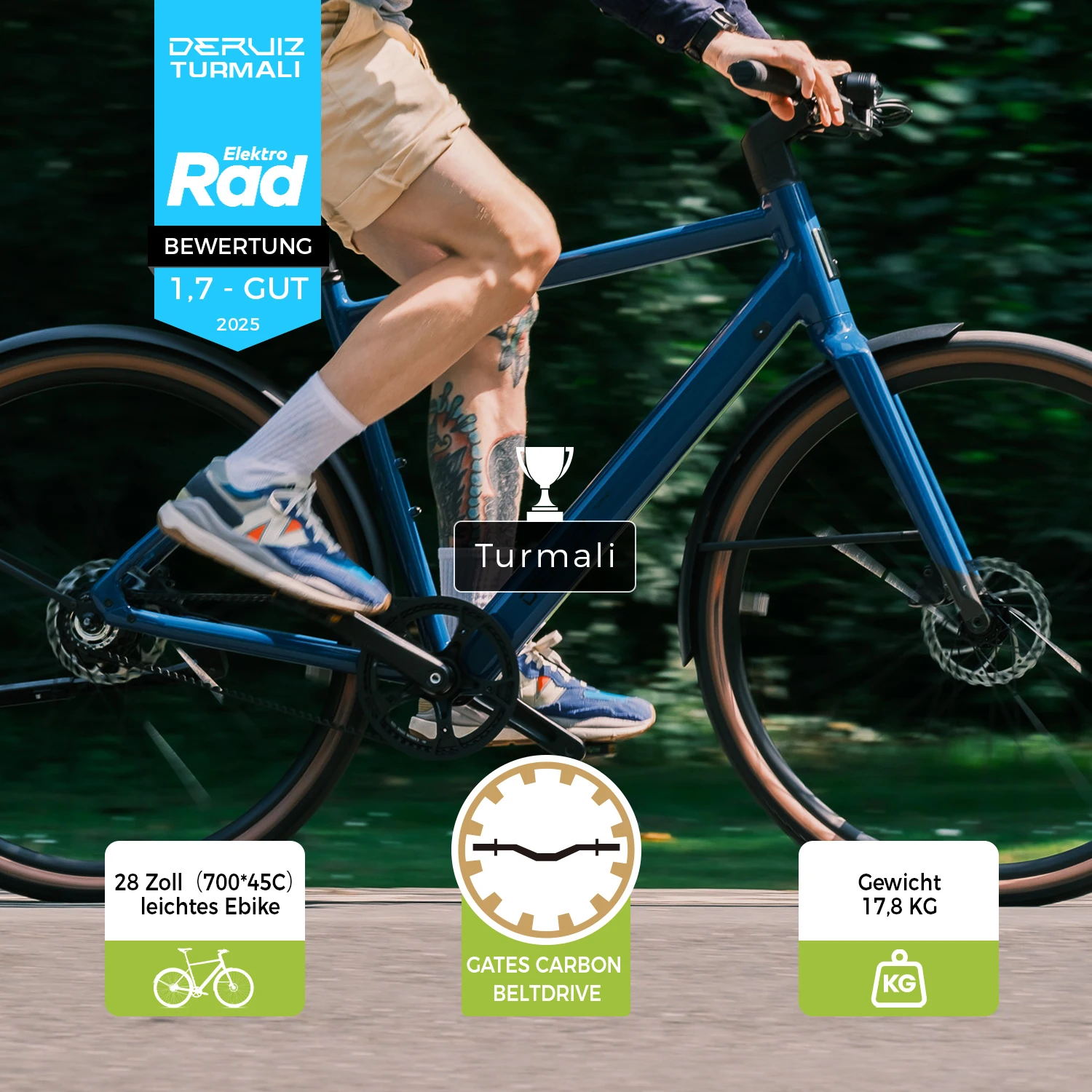 DERUIZ Turmali Lightweight Ebike 52cm E-Bike 36V 250W Cityrad