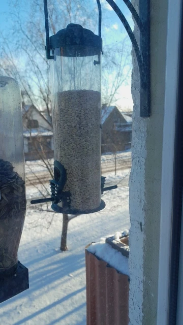 Fly-N-Dine: Outdoor Hanging Bird Feeder photo review