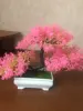 Изображение товара 4
