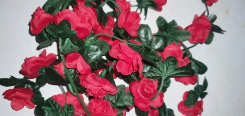 Guirlande de fleurs rouges photo review
