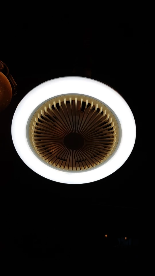 Adjustable LED Ceiling Fan Light, E27 Remote Control, Perfect for Living Rooms, Chandeliers, and a Refreshing Ambiance from 85V-265V photo review