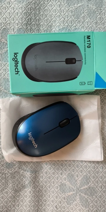 Logitech M170 Wireless USB Optical Office Home Mouse photo review