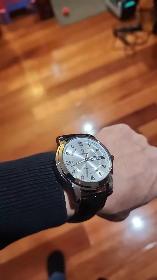 POEDAGAR Luxury Man Wristwatch photo review