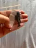 Изображение товара 5