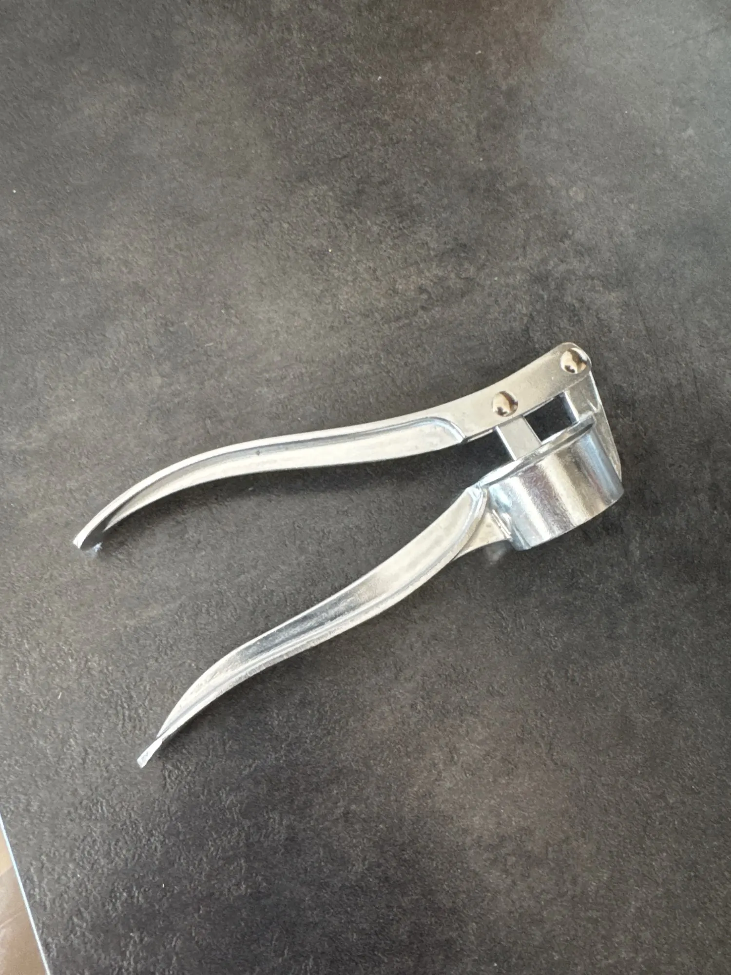 Stainless Steel Garlic Press Crusher Mincer Handheld Garlic Smasher Squeezer Manual Press Grinding Tool Kitchen Accessories photo review