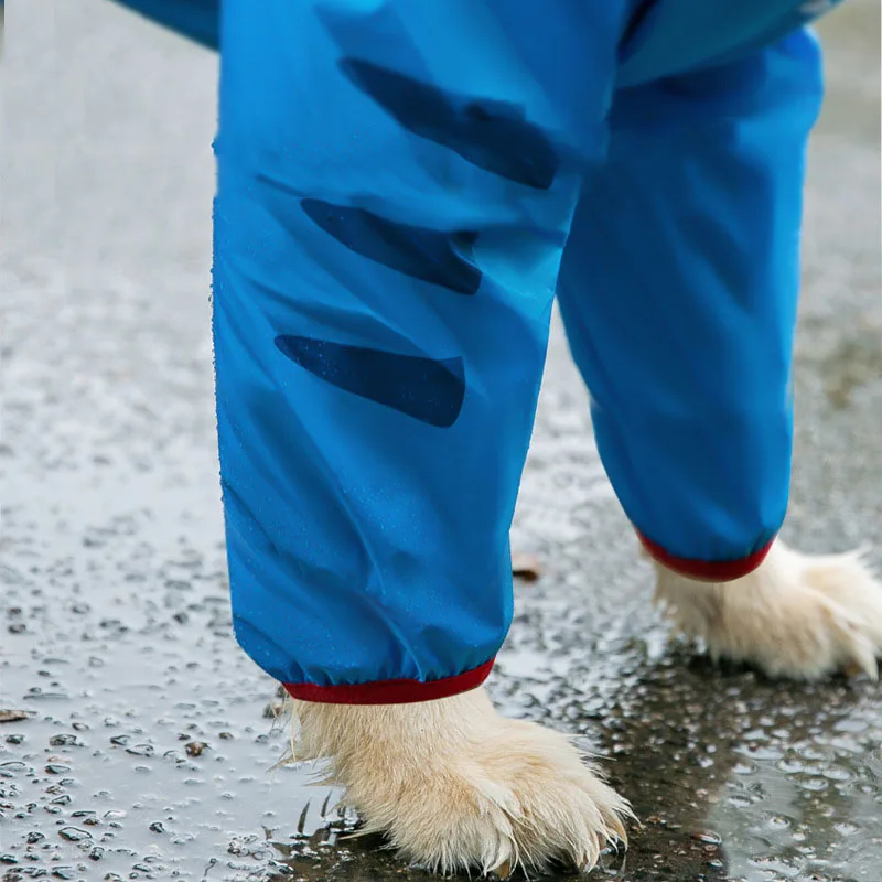 Blue Dinosaur Raincoat With Cover Tail Raincoat For Dog