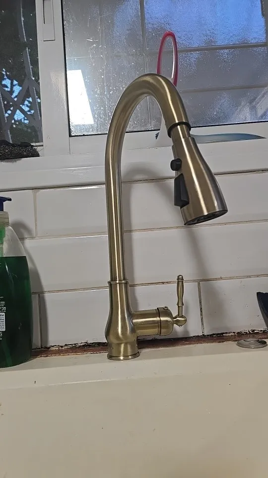 Antique Bronze Pull Out Kitchen Faucet with Sprayer photo review