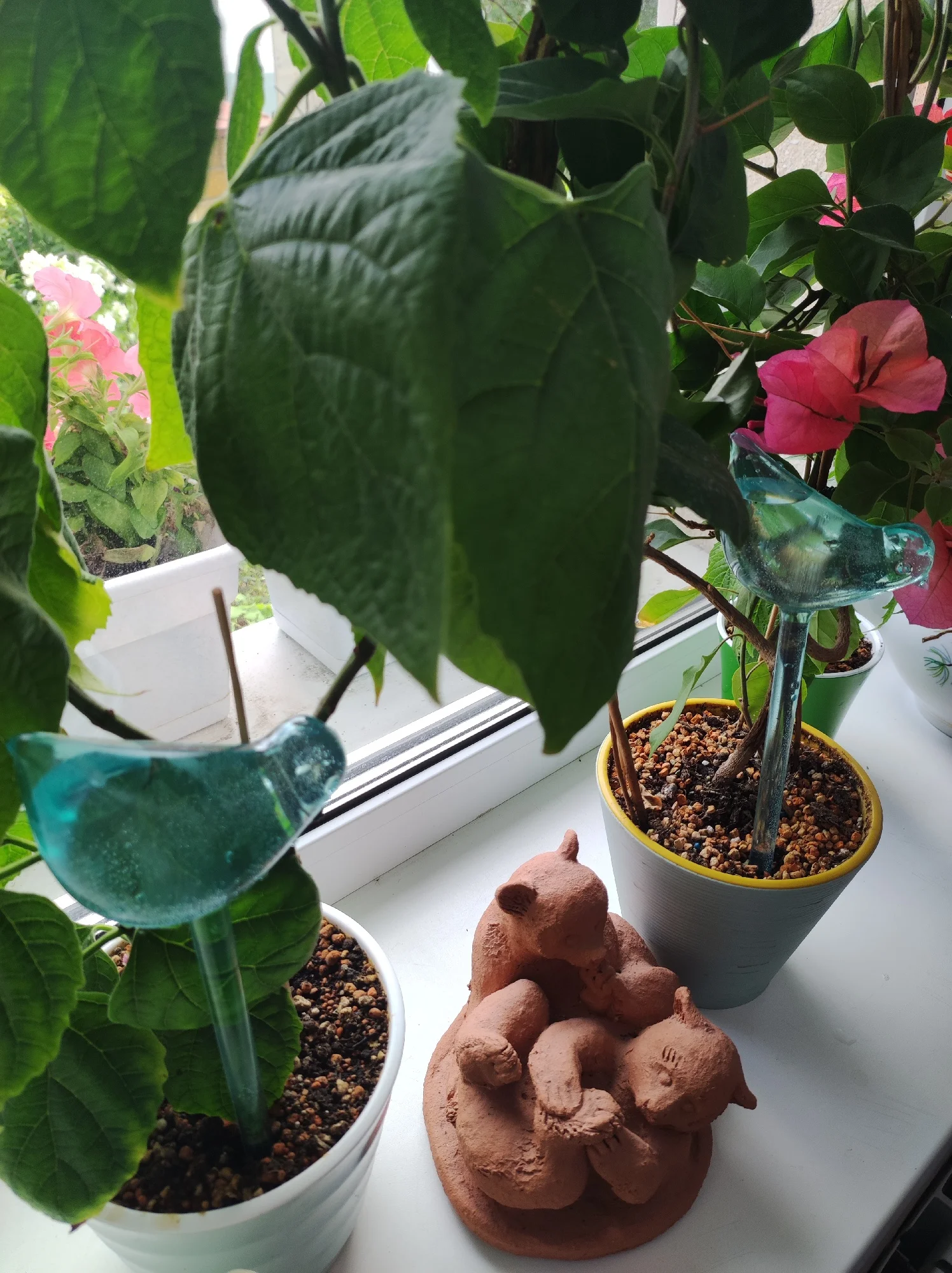Cutie Automatic Plant Waterer