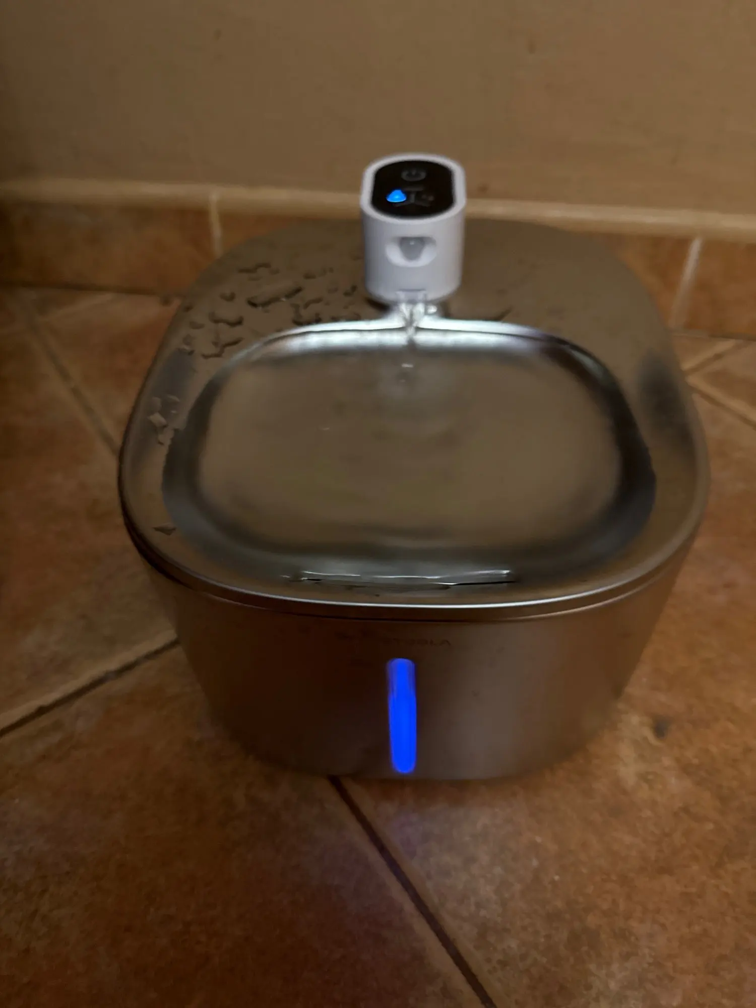 Wireless Cat Fountain with Stainless Steel Bowl | Velvet Paws