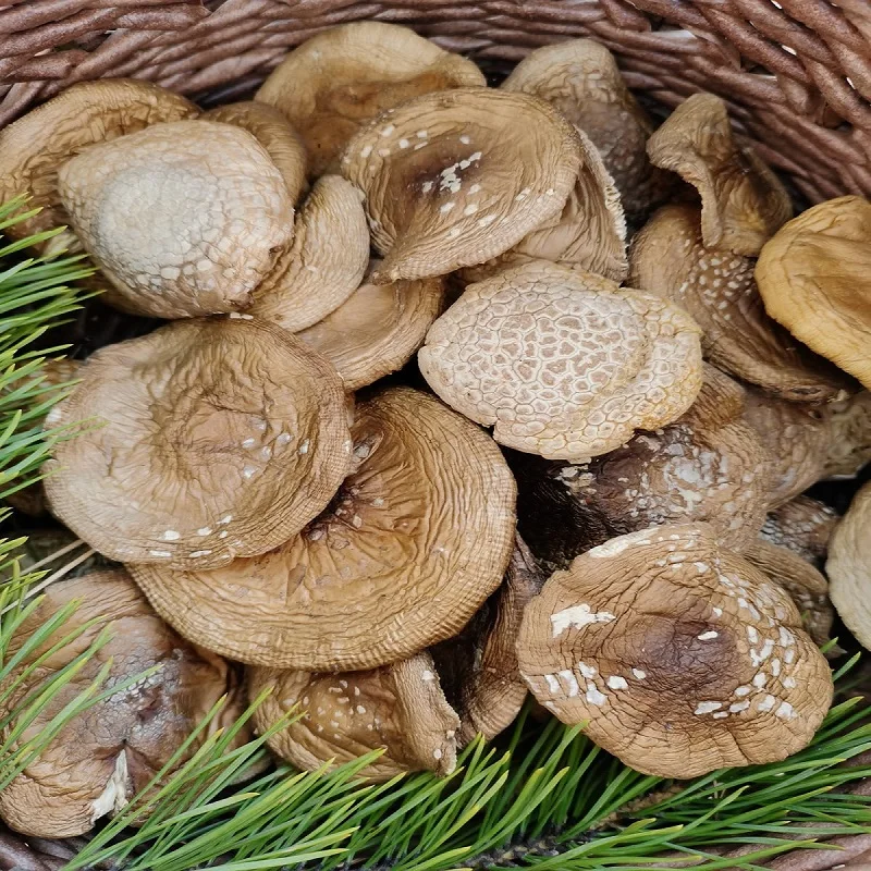 Мухоморы dried mushrooms 50g микродозинг cap мухоморы dried mushrooms