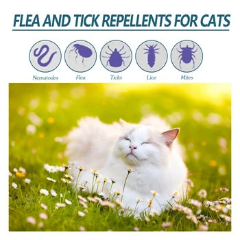 Cat and dog protected by flea and tick drops