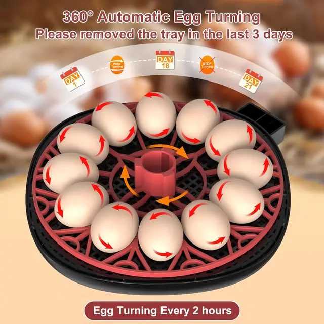 22088-4ed219.jpg 12 Automatic Egg Incubators for Hatching Eggs Whith Smart Temperature Control, Auto Turner, LED Candling for Chicken, Duck, Quai