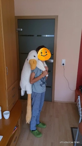 Ganso Gigante Fofeza® de Pelúcia