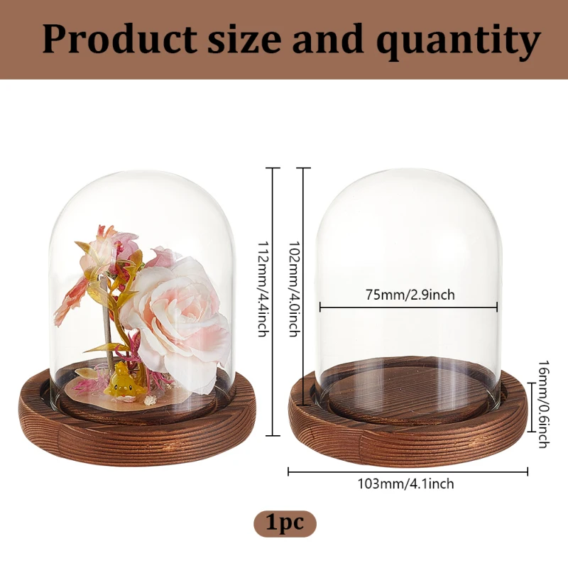 COPERTURA DISPLAY TRASPARENTE con Base Vetro Cupola Copertura Fiore