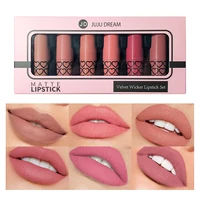 Coffret de 6 rouges à lèvres mats nude, imperméables, longue tenue, faciles à appliquer, haute pigmentation, ne tache pas les tasses, ensemble de maquillage pour les lèvres, idéal comme cadeau. 5