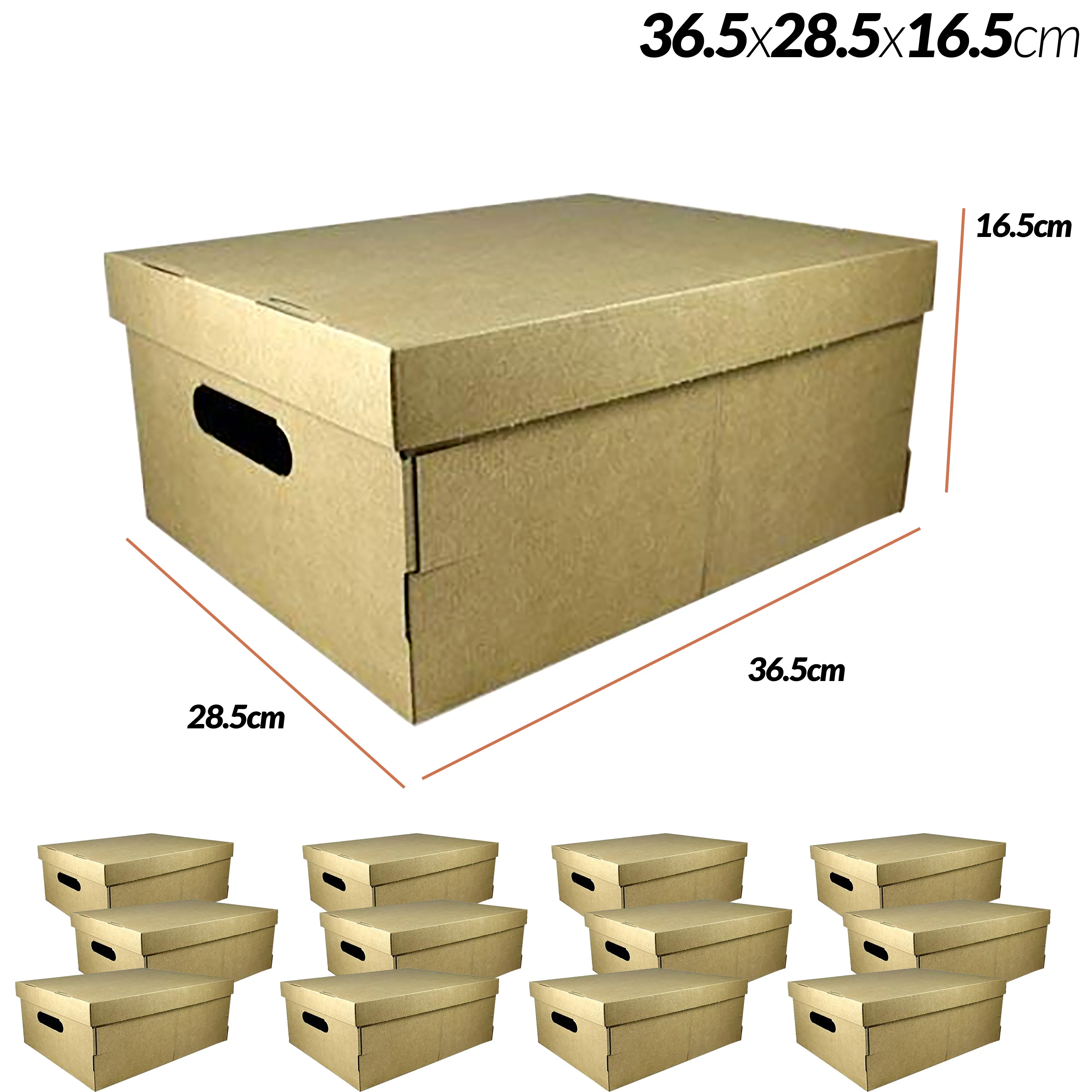 Juego de 2 Cajas de Almacenaje, Baul Organizador con Tapa Grande, Asas  Laterales, Automontaje, Medidas 510*370*240 mm