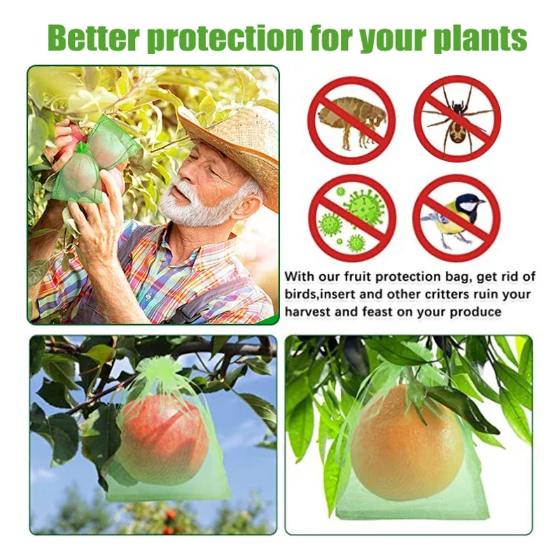 Slide image 12155333a2e246b181c2d0651b5175f9