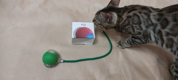 Speedy Ball Toy 2.0