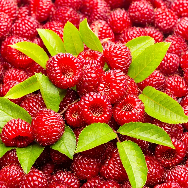 신선함이 가득! 신세계백화점에서 장보기, 자연식탁의 제철 과일