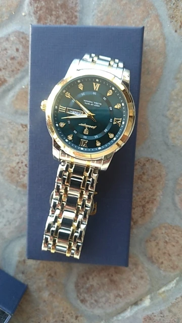 POEDAGAR Luxury Watch for Men photo review