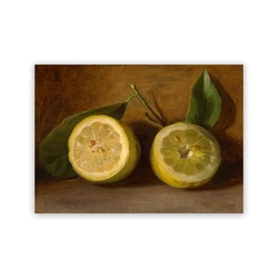 Vintage Orange Citrus Art Print - Antique Botanical Fruit Poster for Farmhouse Kitchen Decor (PC9634)