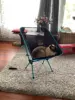 Изображение товара 1