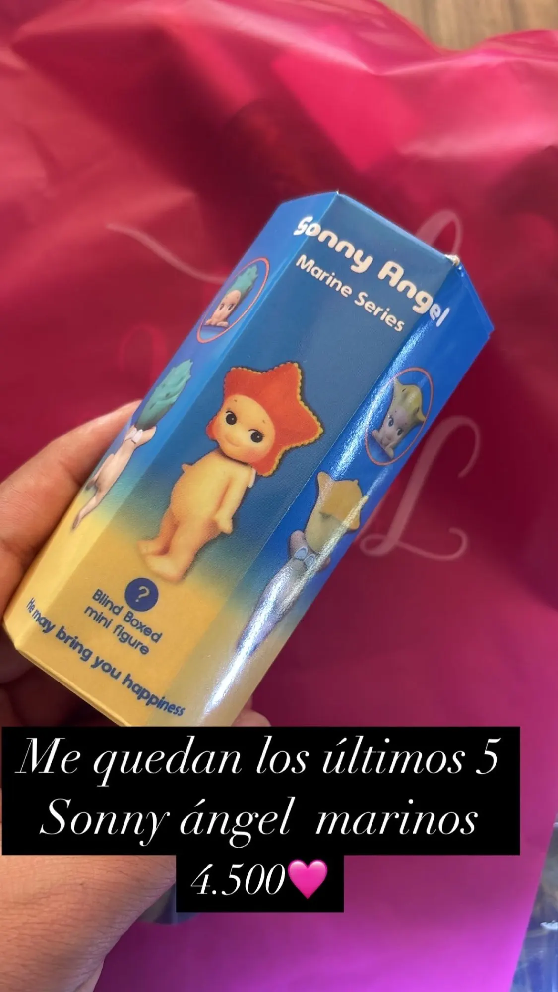 Sonny Angel Animal Blind Box 20th Anniversary Harvest Series photo review