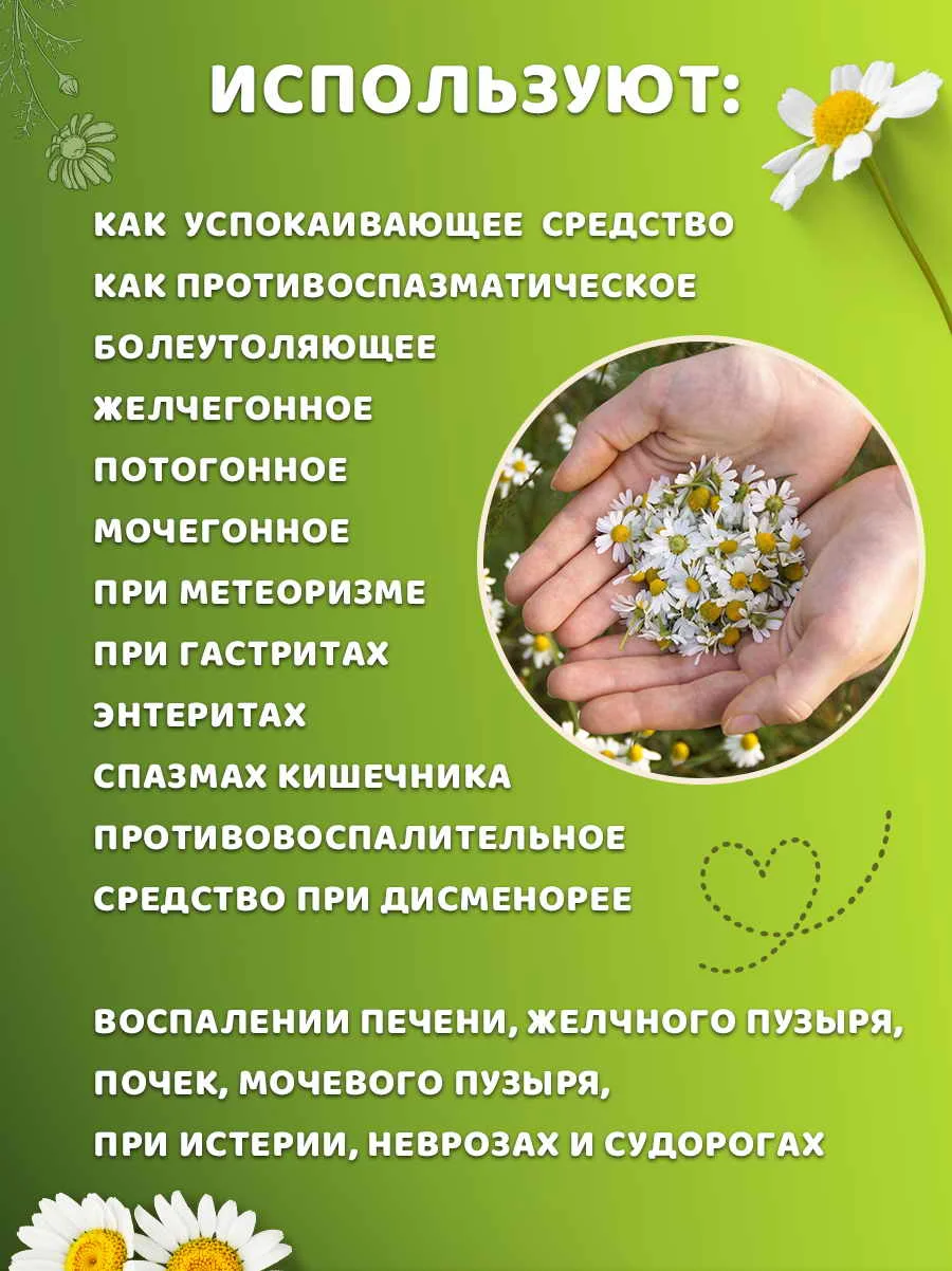 Рисунок 2 - Ромашка аптечная сушеная трава