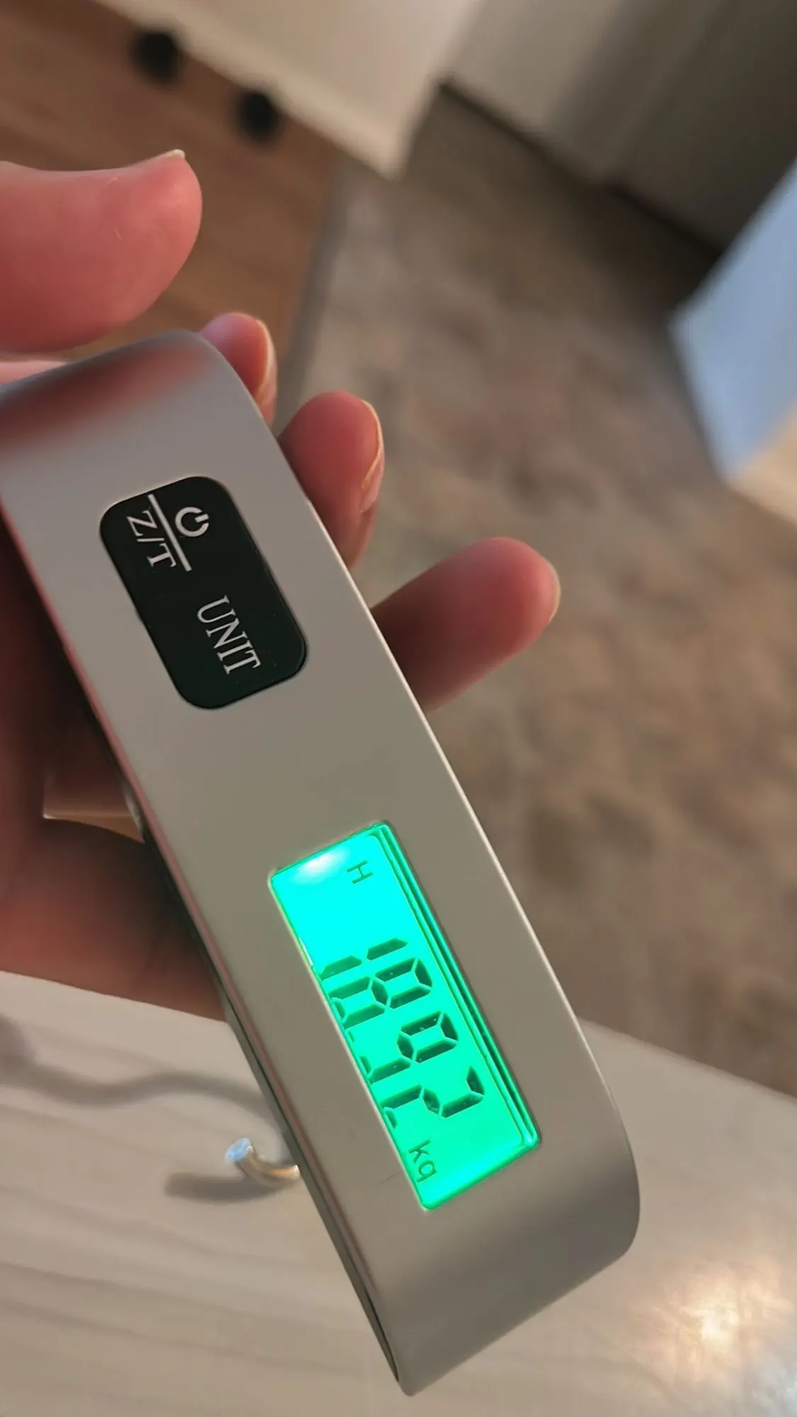Silver Portable Luggage Scale