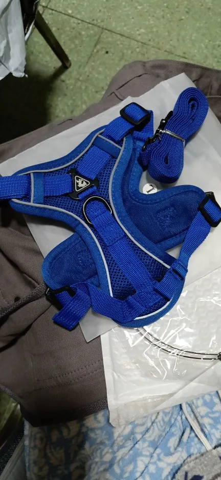 Halsband - Verstellbar, Reflektierend & Komfortabel für kleine Hunde und Katzen photo review