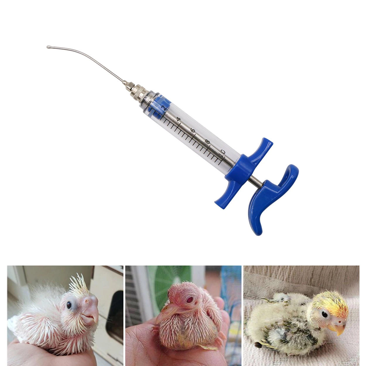 Parrot Feeding Tubes Birds Feeding Syringe Kit Curved Gavage Tubes Bird Feed Baby Bird liquid Food Gavage Needle parrot feeder bird feeder parrot feeding bowl bird feeding syringe bird oral gavage needle