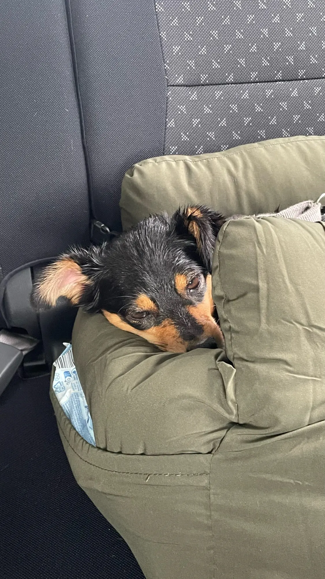 Review picture Review picture