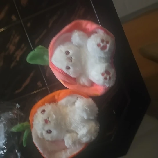 Berry Buns, Transforming Strawberry & Carrot Bunny Plush