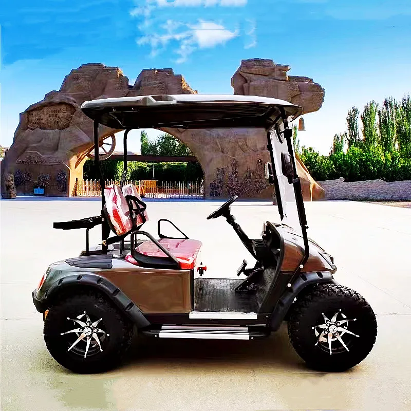 

Новейшая электрическая тележка для гольфа 3 кВт, 60 в, мини-электрическая пляжная электромашина, мини-экскурсионный автомобиль для курорта, отеля, приемника