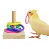 Parrot educational ring toy training chewing interactive bird supplies utensils parrot bird educational toys ring bird toys 2