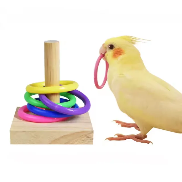 Parrot educational ring toy training chewing interactive bird supplies utensils parrot bird educational toys ring bird toys 2