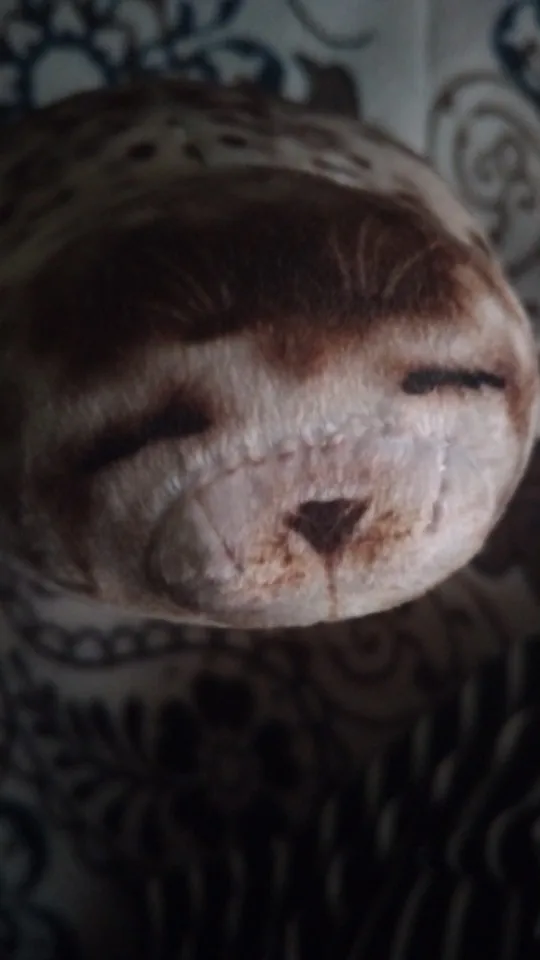 Foquinha Serena Fofeza® de Pelúcia