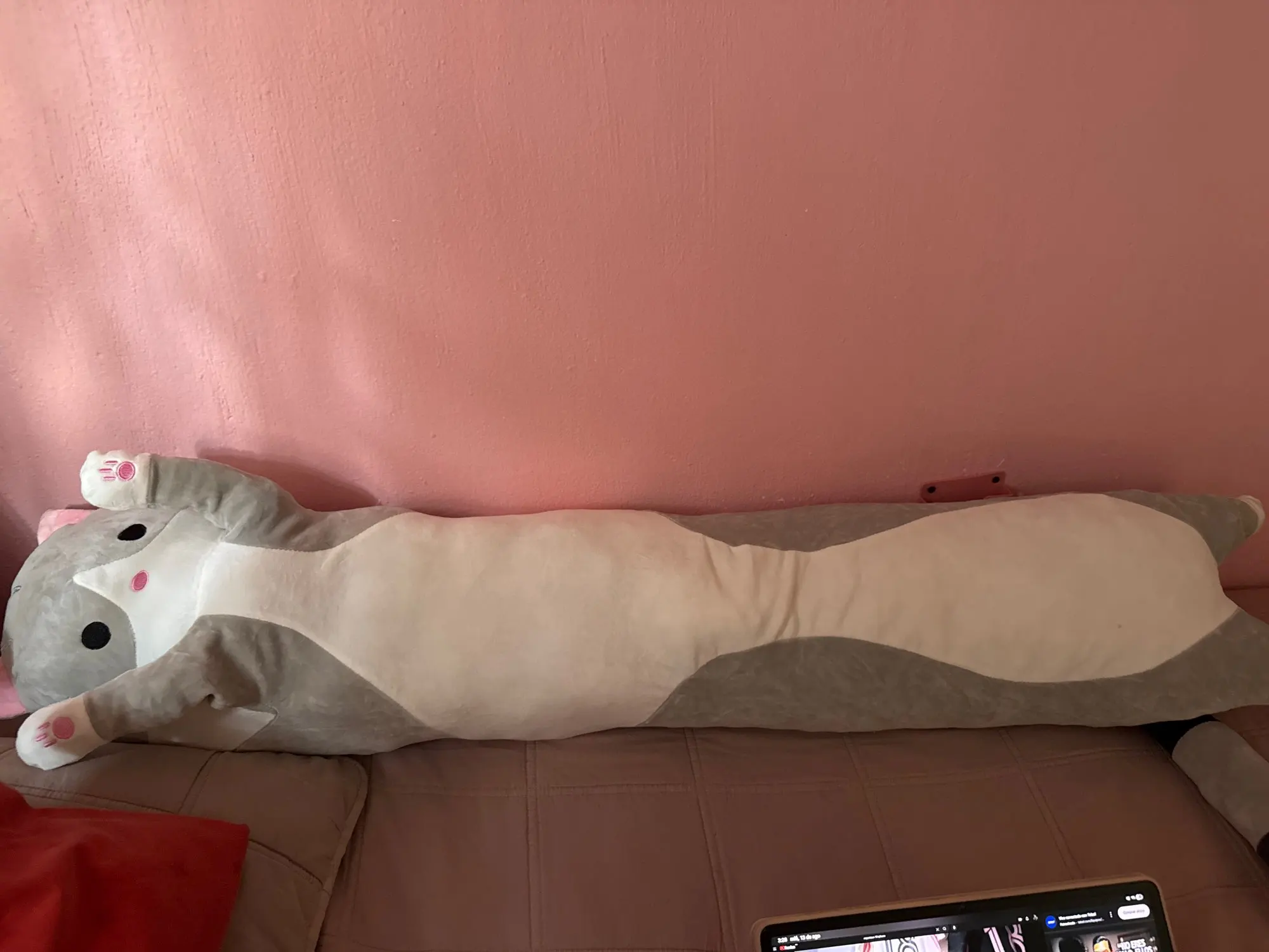 Cloud Kitty Long Snuggle Pillow photo review