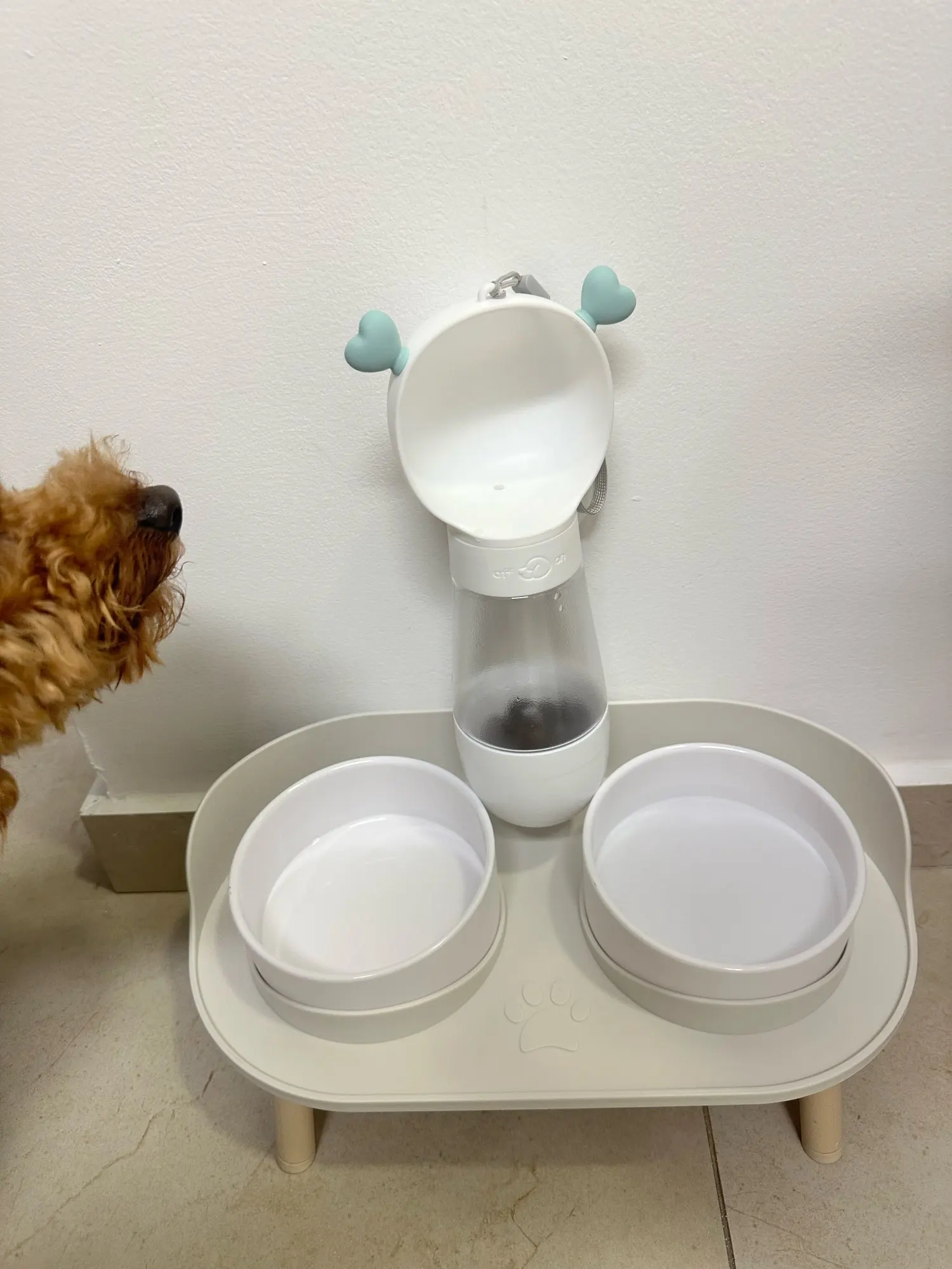 Travel Paws 2-in-1 Bottle: Hydration and Nourishment on the Go photo review