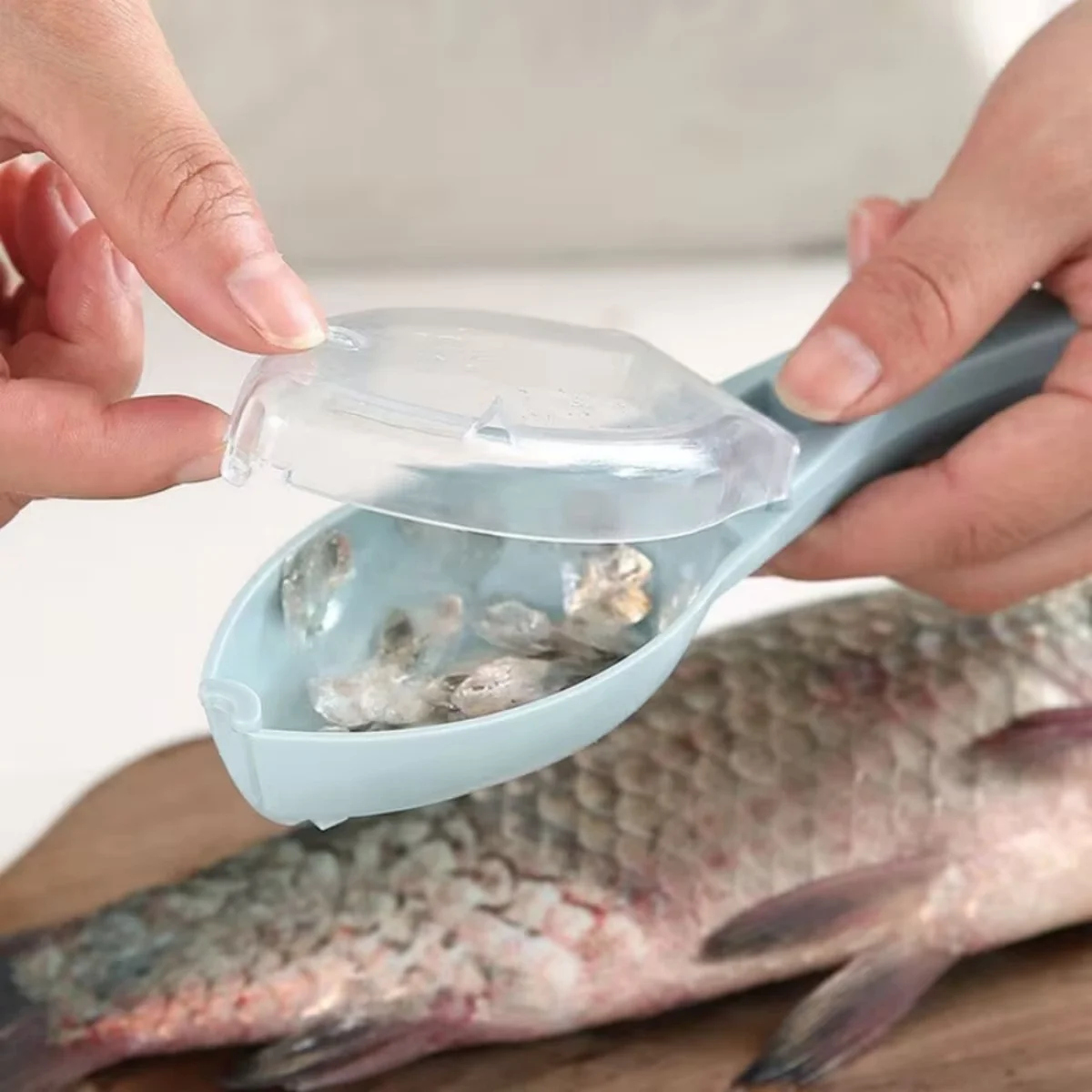 Fish Scale Scraper Tool 6