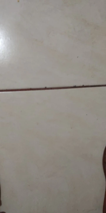 MTB Floor Bike Pump, 80 PSI Manual Air for Schrader Tires photo review