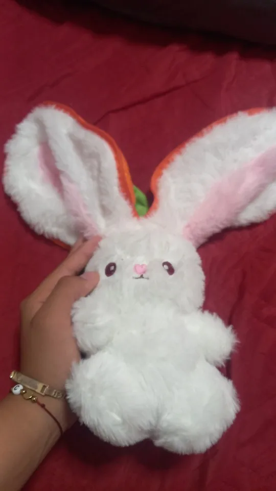 Berry Buns, Transforming Strawberry & Carrot Bunny Plush