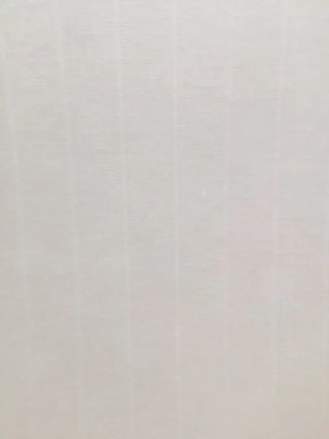 105gsm A4 210*297mm Watermark paper,White color with conqueror paper, 100 sheets LYYT014