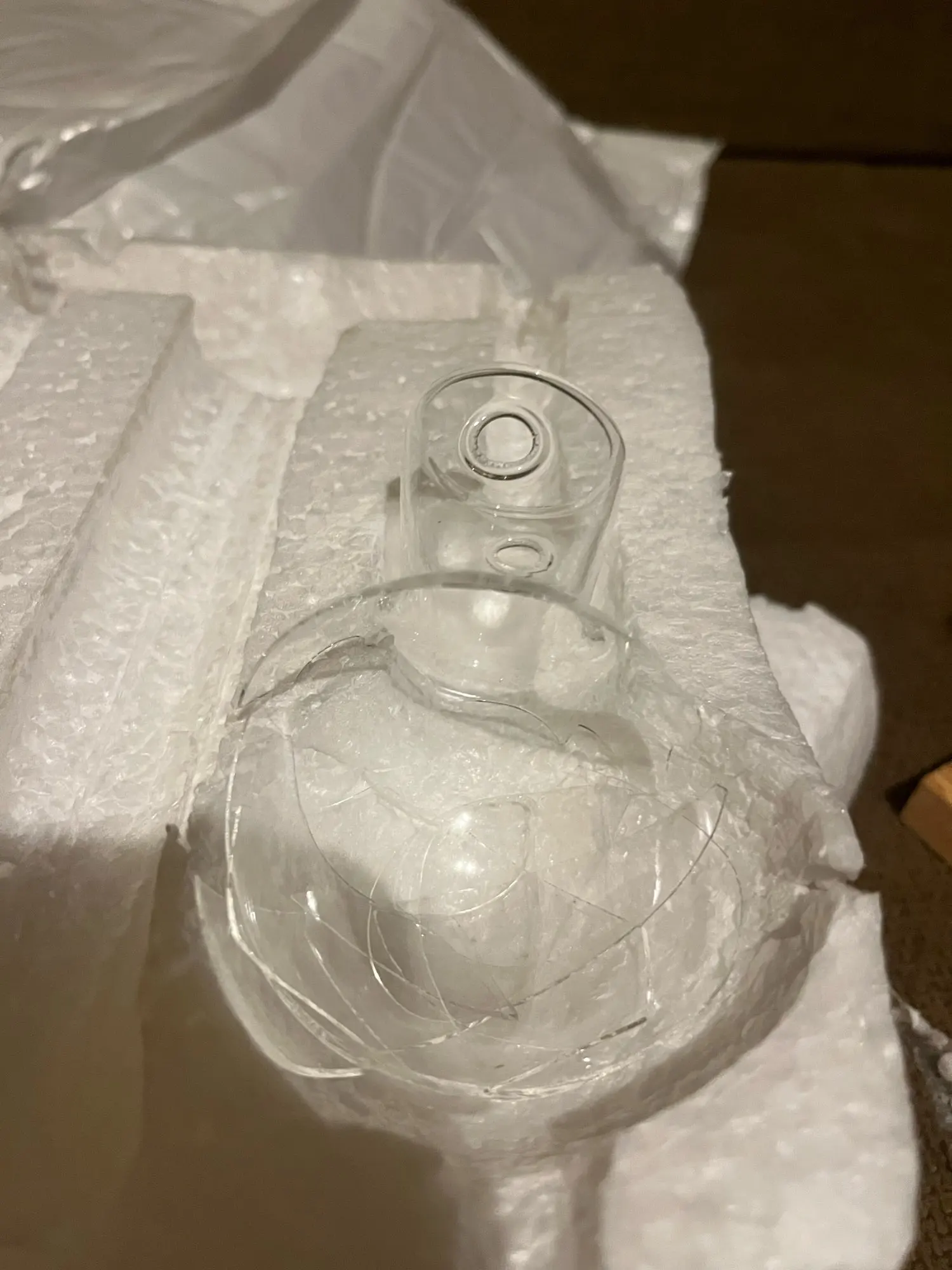 Hydroponic Plant Terrarium Vase photo review